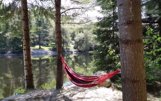 3247af89-2b04-40c4-bcdb-52bc44390d95