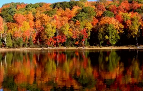 dbc0f905-5bf7-479d-90b3-6a32d4cd4c32