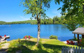 Green field, with a tree in the middle, ending on a beach with muskoka chairs. There is a dock on the left with chairs on it as well as a stone walkway with more chairs leading to the sauna on the right. Located in Clear Lake Beach House, Muskoka