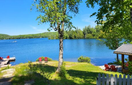 Green field, with a tree in the middle, ending on a beach with muskoka chairs. There is a dock on the left with chairs on it as well as a stone walkway with more chairs leading to the sauna on the right. Located in Clear Lake Beach House, Muskoka Green field, with a tree in the middle, ending on a beach with muskoka chairs. There is a dock on the left with chairs on it as well as a stone walkway with more chairs leading to the sauna on the right. Located in Clear Lake Beach House, Muskoka