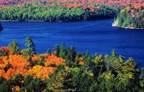 Clear Lake Waterfront Villa & Spa Entire cottage in Muskoka, Canada