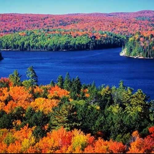 Clear Lake Waterfront Villa & Spa Entire cottage in Muskoka, Canada