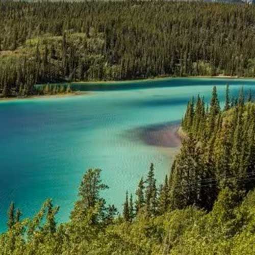 Clear Lake Beach House Entire cottage in Muskoka, Canada